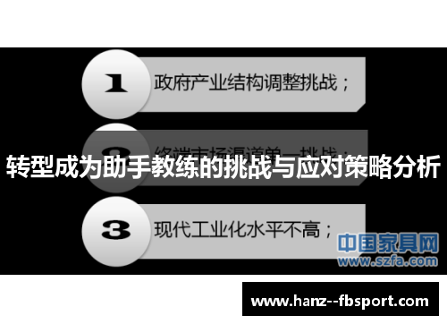 转型成为助手教练的挑战与应对策略分析