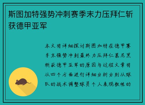 斯图加特强势冲刺赛季末力压拜仁斩获德甲亚军